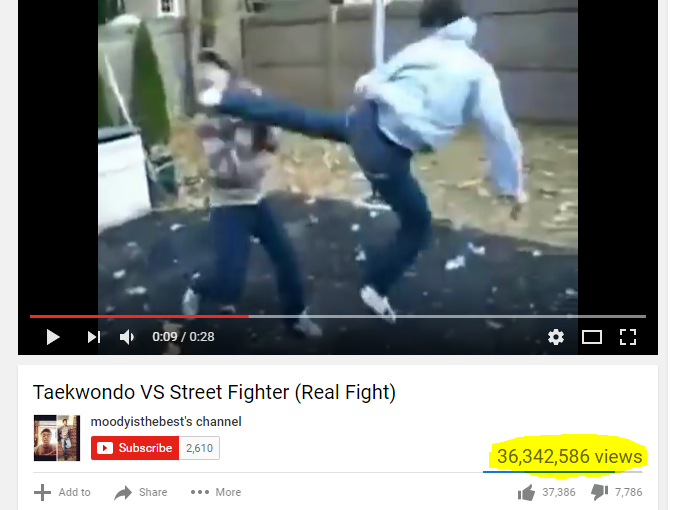 Learning from Fight Videos – Erik Kondo