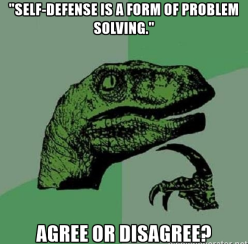 Poll #2: “Self-defense is a form of problem solving.”