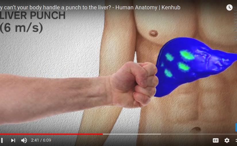 Youtube Video of the Month – The Liver Shot